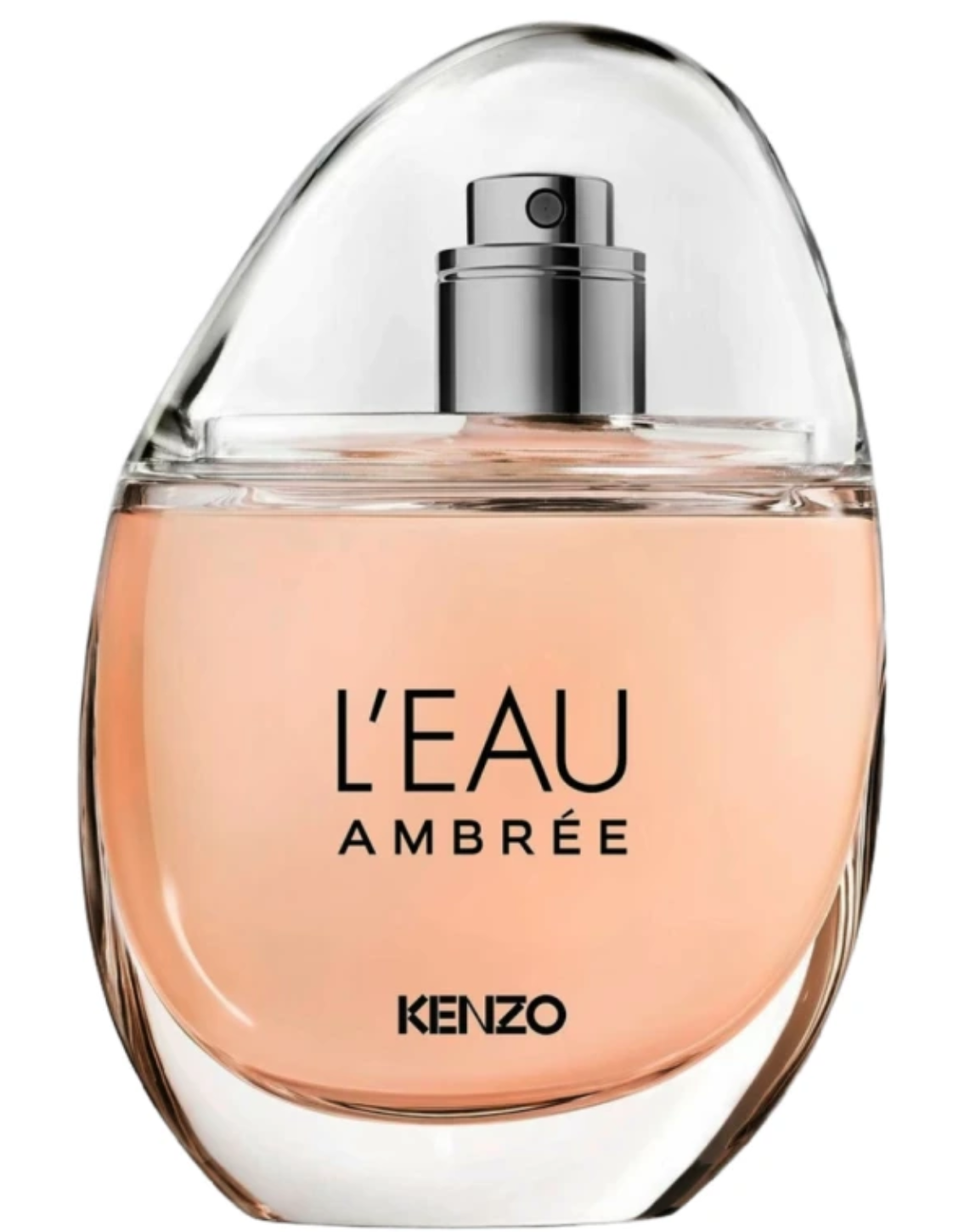 KENZO AMBREE